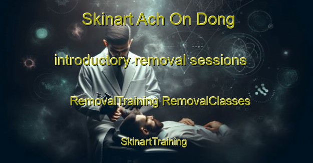 Skinart Ach On Dong introductory removal sessions | #RemovalTraining #RemovalClasses #SkinartTraining-Korea