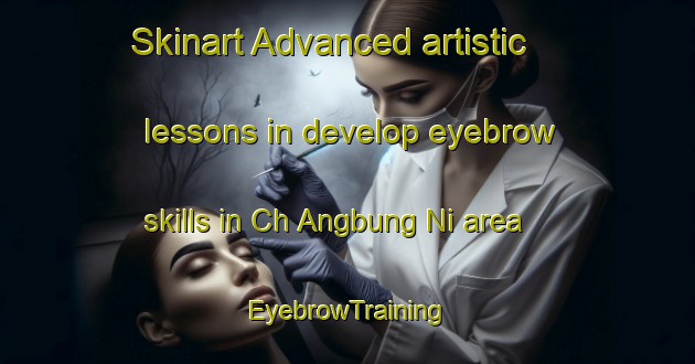 Skinart Advanced artistic lessons in develop eyebrow skills in Ch Angbung Ni area | EyebrowTraining | EyebrowClasses | SkinartTraining-Korea