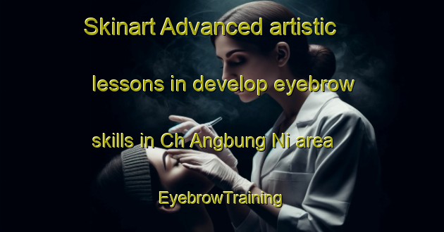 Skinart Advanced artistic lessons in develop eyebrow skills in Ch Angbung Ni area | EyebrowTraining | EyebrowClasses | SkinartTraining-Korea