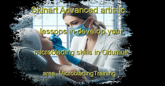 Skinart Advanced artistic lessons in develop your microblading skills in Odumuk area | MicrobladingTraining | MicrobladingClasses | SkinartTraining-Korea