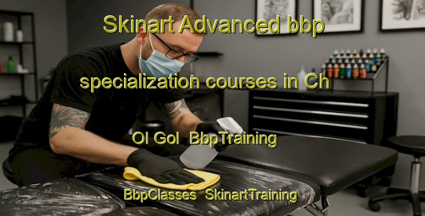 Skinart Advanced bbp specialization courses in Ch Ol Gol | BbpTraining | BbpClasses | SkinartTraining-Korea