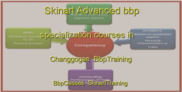 Skinart Advanced bbp specialization courses in Changgogae | BbpTraining | BbpClasses | SkinartTraining-Korea