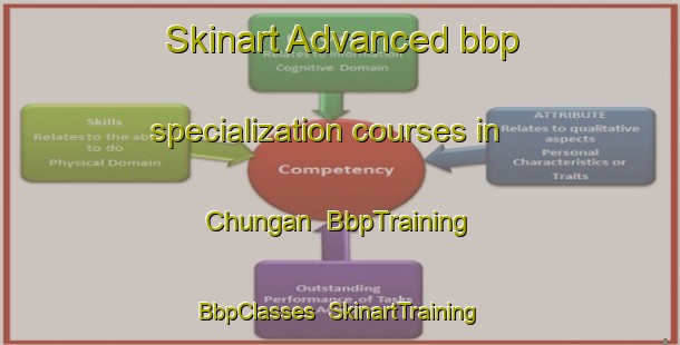 Skinart Advanced bbp specialization courses in Chungan | BbpTraining | BbpClasses | SkinartTraining-Korea