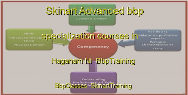 Skinart Advanced bbp specialization courses in Haganam Ni | BbpTraining | BbpClasses | SkinartTraining-Korea