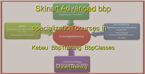 Skinart Advanced bbp specialization courses in Kebau | BbpTraining | BbpClasses | SkinartTraining-Korea