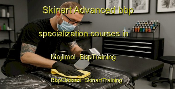 Skinart Advanced bbp specialization courses in Mojilmol | BbpTraining | BbpClasses | SkinartTraining-Korea