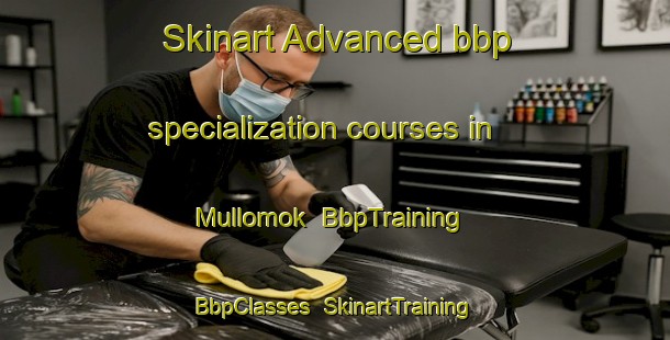 Skinart Advanced bbp specialization courses in Mullomok | BbpTraining | BbpClasses | SkinartTraining-Korea