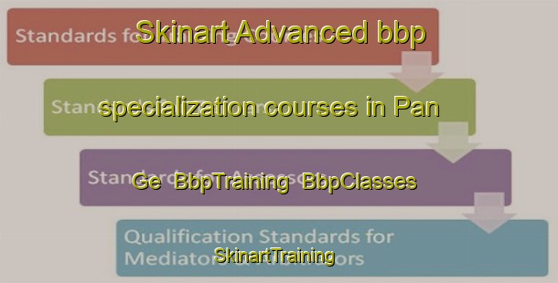 Skinart Advanced bbp specialization courses in Pan Ge | BbpTraining | BbpClasses | SkinartTraining-Korea
