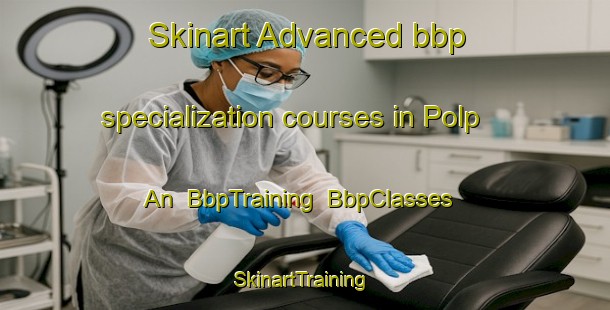 Skinart Advanced bbp specialization courses in Polp An | BbpTraining | BbpClasses | SkinartTraining-Korea