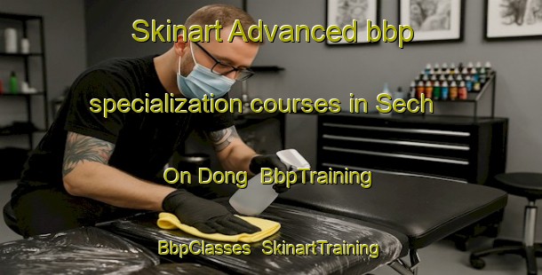 Skinart Advanced bbp specialization courses in Sech On Dong | BbpTraining | BbpClasses | SkinartTraining-Korea