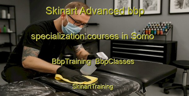 Skinart Advanced bbp specialization courses in Somo | BbpTraining | BbpClasses | SkinartTraining-Korea