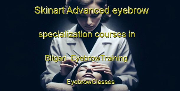 Skinart Advanced eyebrow specialization courses in Bitgari | EyebrowTraining | EyebrowClasses | SkinartTraining-Korea