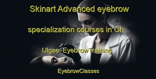 Skinart Advanced eyebrow specialization courses in Ch Ulgae | EyebrowTraining | EyebrowClasses | SkinartTraining-Korea