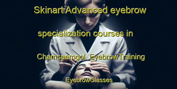 Skinart Advanced eyebrow specialization courses in Chamsaemgol | EyebrowTraining | EyebrowClasses | SkinartTraining-Korea