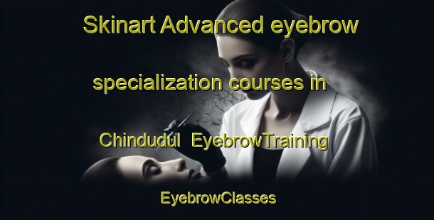 Skinart Advanced eyebrow specialization courses in Chindudul | EyebrowTraining | EyebrowClasses | SkinartTraining-Korea