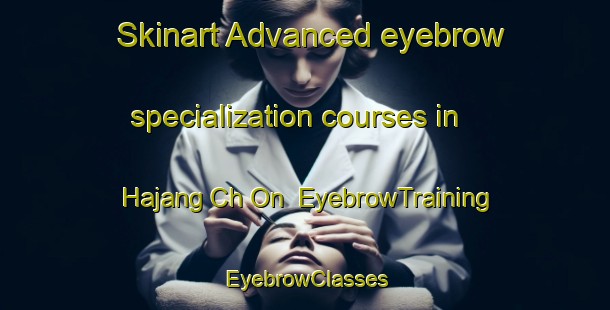 Skinart Advanced eyebrow specialization courses in Hajang Ch On | EyebrowTraining | EyebrowClasses | SkinartTraining-Korea
