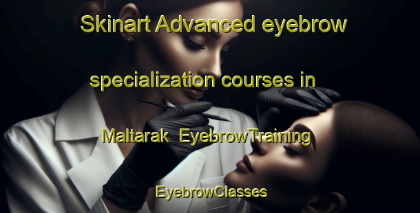 Skinart Advanced eyebrow specialization courses in Maltarak | EyebrowTraining | EyebrowClasses | SkinartTraining-Korea