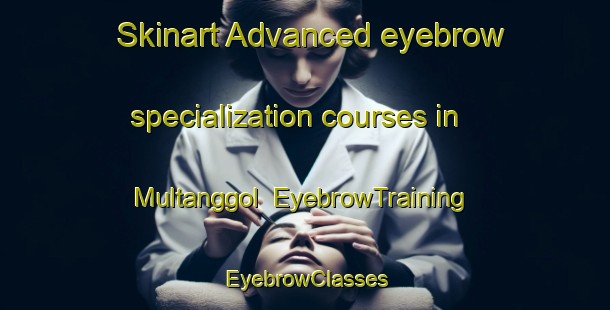 Skinart Advanced eyebrow specialization courses in Multanggol | EyebrowTraining | EyebrowClasses | SkinartTraining-Korea