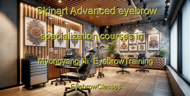 Skinart Advanced eyebrow specialization courses in Myongyang Ni | EyebrowTraining | EyebrowClasses | SkinartTraining-Korea