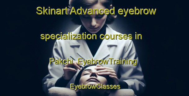 Skinart Advanced eyebrow specialization courses in Pakchi | EyebrowTraining | EyebrowClasses | SkinartTraining-Korea