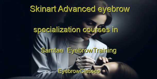 Skinart Advanced eyebrow specialization courses in Samtae | EyebrowTraining | EyebrowClasses | SkinartTraining-Korea