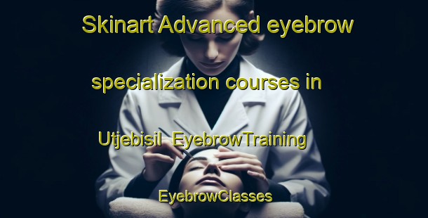 Skinart Advanced eyebrow specialization courses in Utjebisil | EyebrowTraining | EyebrowClasses | SkinartTraining-Korea