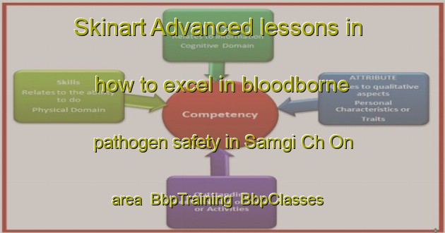 Skinart Advanced lessons in how to excel in bloodborne pathogen safety in Samgi Ch On area | BbpTraining | BbpClasses | SkinartTraining-Korea