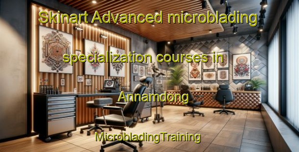 Skinart Advanced microblading specialization courses in Annamdong | #MicrobladingTraining #MicrobladingClasses #SkinartTraining-Korea