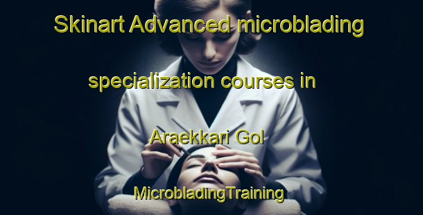 Skinart Advanced microblading specialization courses in Araekkari Gol | #MicrobladingTraining #MicrobladingClasses #SkinartTraining-Korea