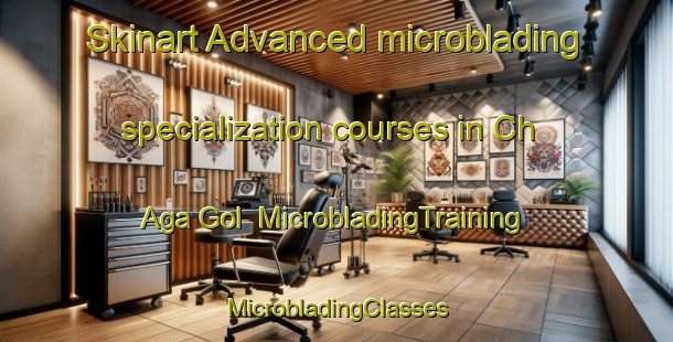 Skinart Advanced microblading specialization courses in Ch Aga Gol | #MicrobladingTraining #MicrobladingClasses #SkinartTraining-Korea