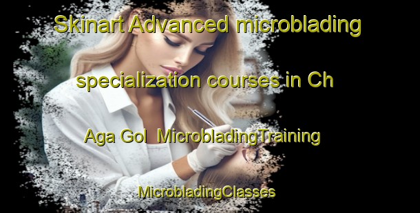Skinart Advanced microblading specialization courses in Ch Aga Gol | MicrobladingTraining | MicrobladingClasses | SkinartTraining-Korea
