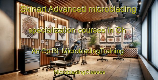 Skinart Advanced microblading specialization courses in Ch An Go Ri | #MicrobladingTraining #MicrobladingClasses #SkinartTraining-Korea