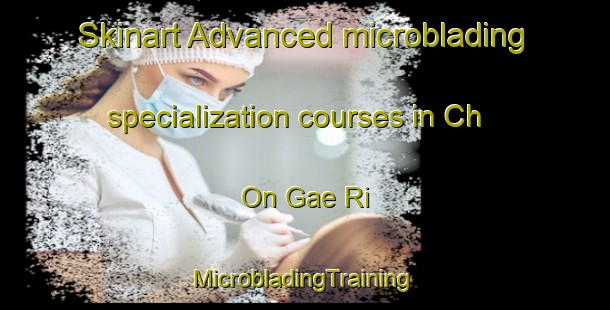 Skinart Advanced microblading specialization courses in Ch On Gae Ri | #MicrobladingTraining #MicrobladingClasses #SkinartTraining-Korea