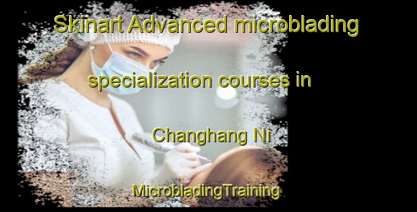 Skinart Advanced microblading specialization courses in Changhang Ni | #MicrobladingTraining #MicrobladingClasses #SkinartTraining-Korea