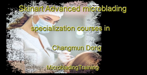 Skinart Advanced microblading specialization courses in Changmun Dong | #MicrobladingTraining #MicrobladingClasses #SkinartTraining-Korea