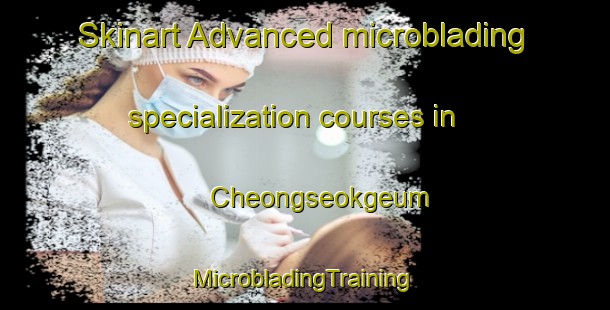 Skinart Advanced microblading specialization courses in Cheongseokgeum | #MicrobladingTraining #MicrobladingClasses #SkinartTraining-Korea