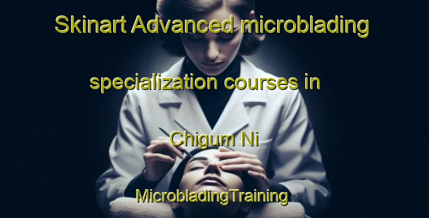 Skinart Advanced microblading specialization courses in Chigum Ni | #MicrobladingTraining #MicrobladingClasses #SkinartTraining-Korea