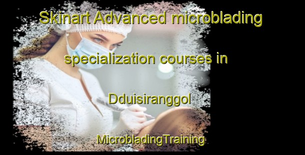 Skinart Advanced microblading specialization courses in Dduisiranggol | #MicrobladingTraining #MicrobladingClasses #SkinartTraining-Korea