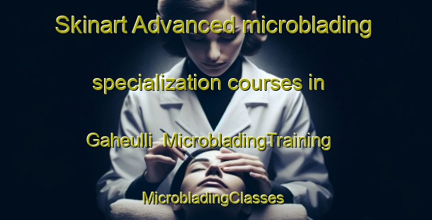 Skinart Advanced microblading specialization courses in Gaheulli | MicrobladingTraining | MicrobladingClasses | SkinartTraining-Korea