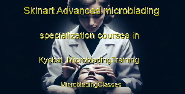 Skinart Advanced microblading specialization courses in Kyebat | MicrobladingTraining | MicrobladingClasses | SkinartTraining-Korea