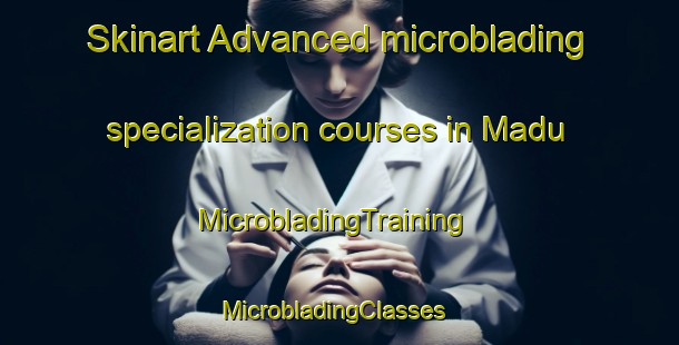 Skinart Advanced microblading specialization courses in Madu | MicrobladingTraining | MicrobladingClasses | SkinartTraining-Korea