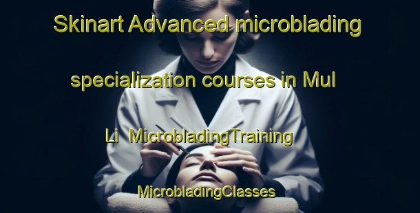 Skinart Advanced microblading specialization courses in Mul Li | MicrobladingTraining | MicrobladingClasses | SkinartTraining-Korea