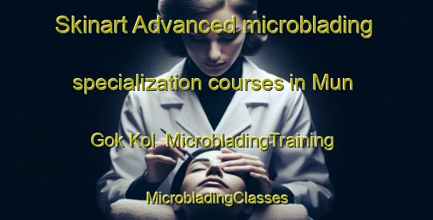 Skinart Advanced microblading specialization courses in Mun Gok Kol | #MicrobladingTraining #MicrobladingClasses #SkinartTraining-Korea