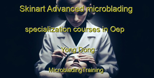 Skinart Advanced microblading specialization courses in Oep Yong Dong | #MicrobladingTraining #MicrobladingClasses #SkinartTraining-Korea