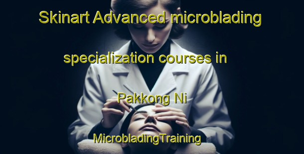 Skinart Advanced microblading specialization courses in Pakkong Ni | MicrobladingTraining | MicrobladingClasses | SkinartTraining-Korea