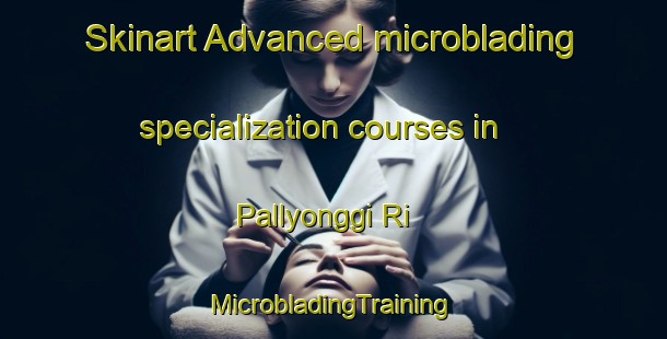 Skinart Advanced microblading specialization courses in Pallyonggi Ri | #MicrobladingTraining #MicrobladingClasses #SkinartTraining-Korea