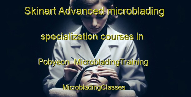 Skinart Advanced microblading specialization courses in Pobyeon | MicrobladingTraining | MicrobladingClasses | SkinartTraining-Korea