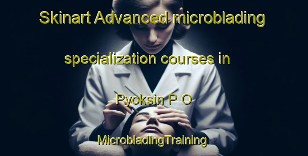 Skinart Advanced microblading specialization courses in Pyoksin P O | #MicrobladingTraining #MicrobladingClasses #SkinartTraining-Korea