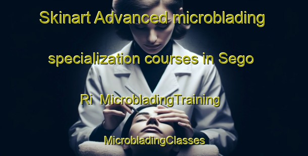 Skinart Advanced microblading specialization courses in Sego Ri | #MicrobladingTraining #MicrobladingClasses #SkinartTraining-Korea