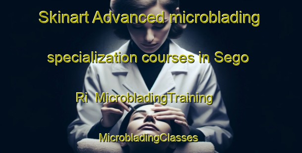 Skinart Advanced microblading specialization courses in Sego Ri | MicrobladingTraining | MicrobladingClasses | SkinartTraining-Korea